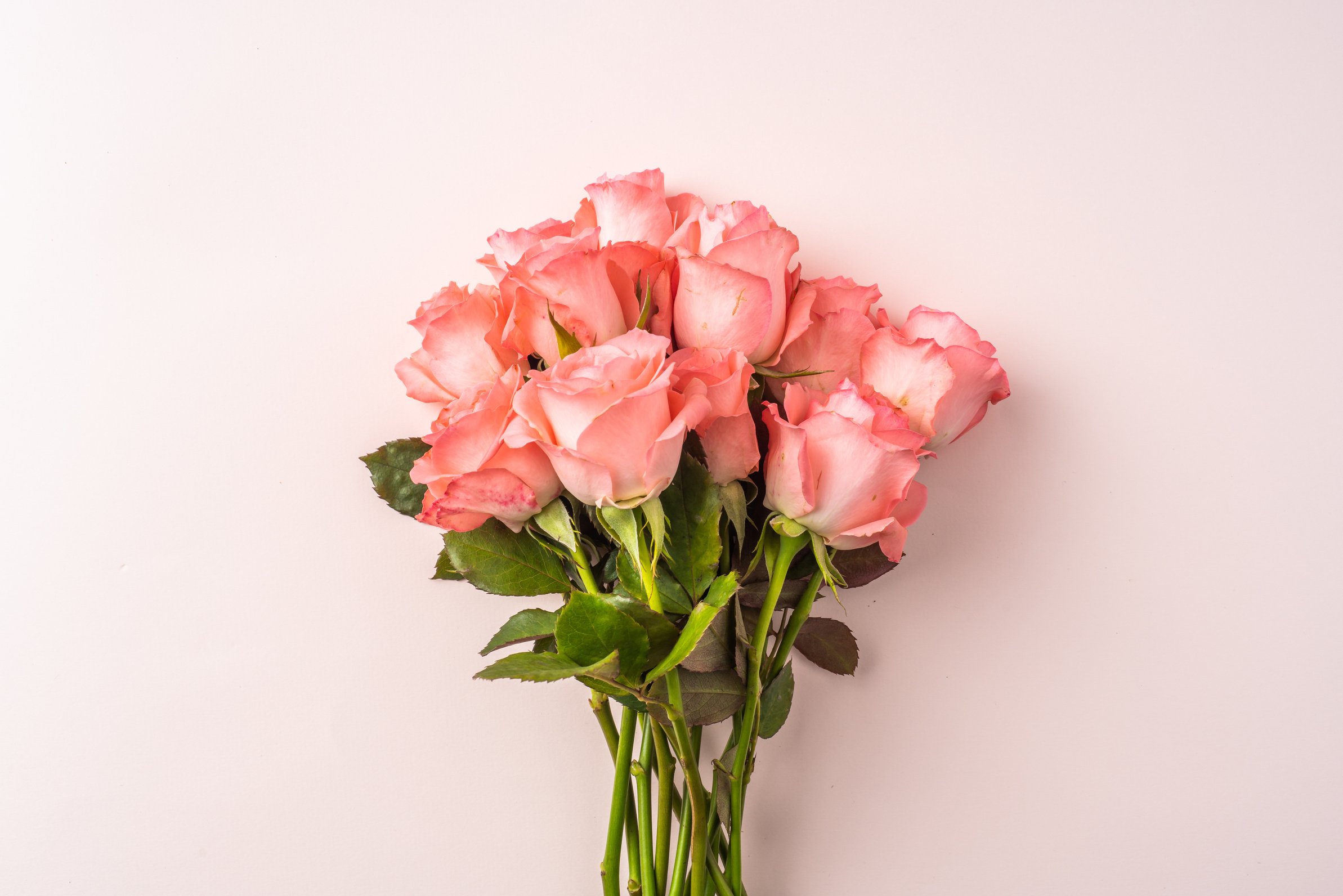 Pink Roses Bouquet 