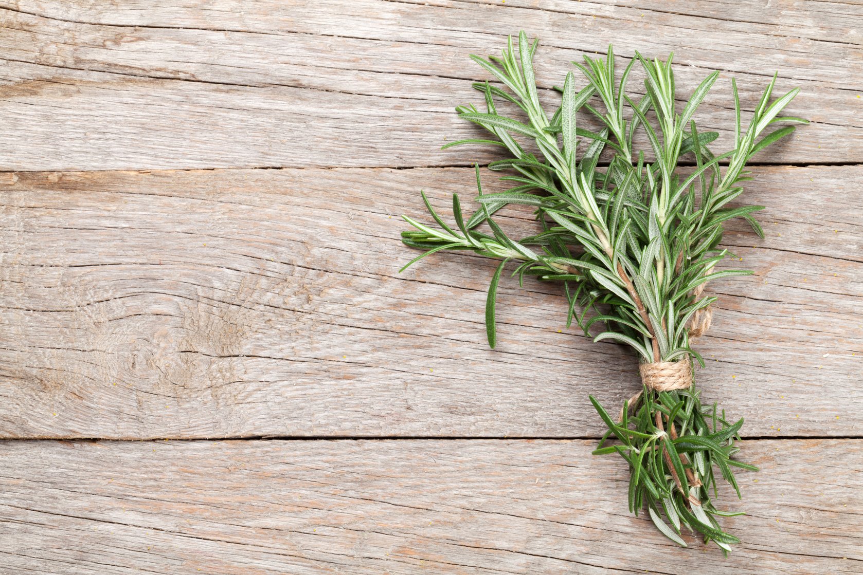 Fresh garden rosemary